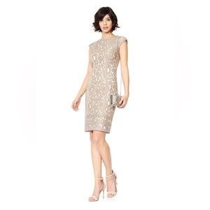 Tadashi Shoji Embroidered Lace Cocktail Dress Sheer Insets Size 8